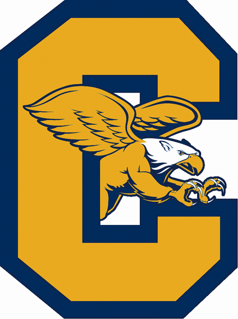 Canisius Golden Griffins 2006-Pres Alternate Logo iron on transfers for T-shirts
